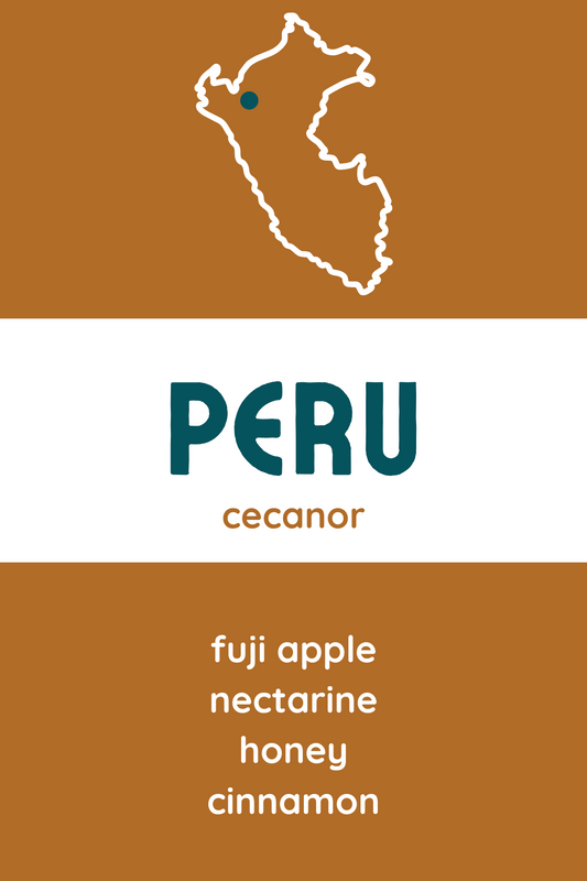 Peru CECANOR
