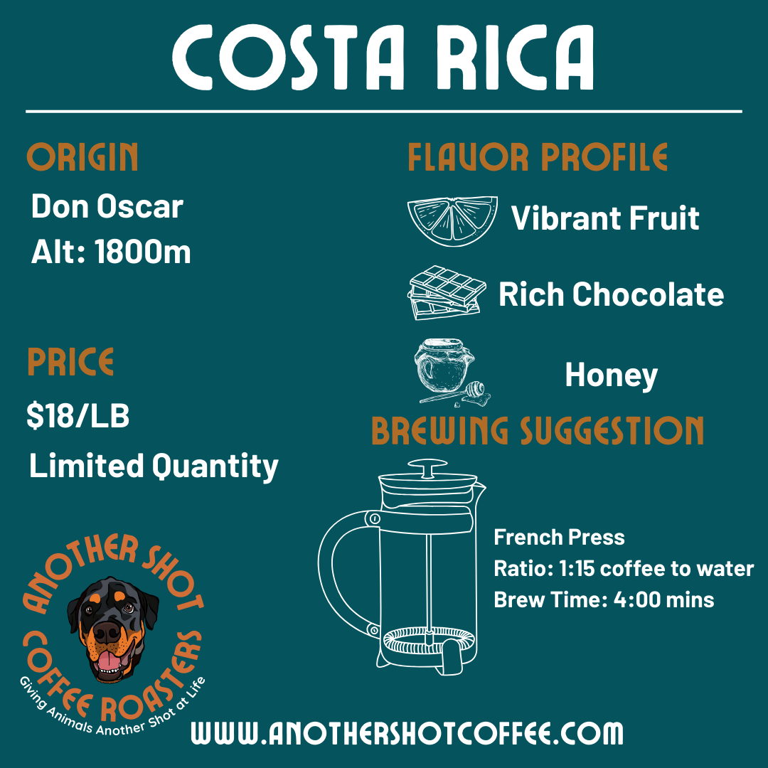 Costa Rica Don Oscar 1800 - Fruit, Chocolate, Honey