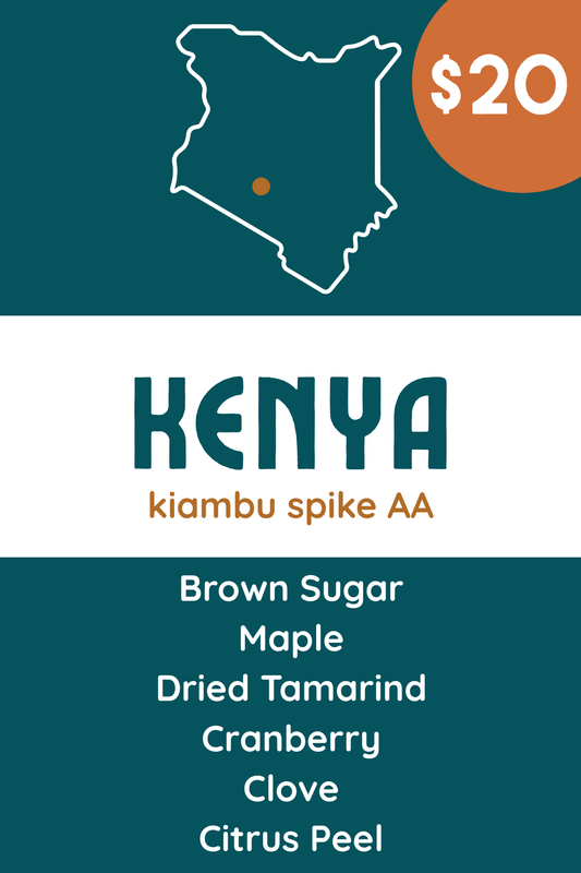 Kenya Kiambu Spike AA