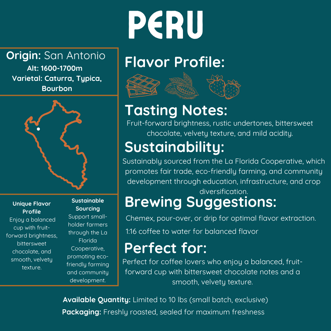 Peru Dry Process San Antonio - Strawberry, Dark Cocoa, Berries