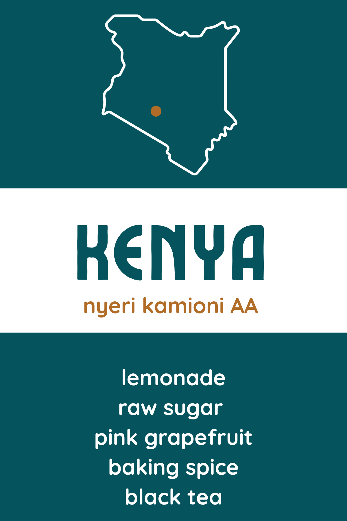 Kenya Nyeri Kamoini AA