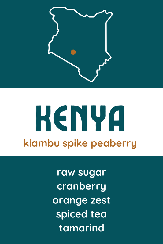 Kenya Kiambu Spike Peaberry