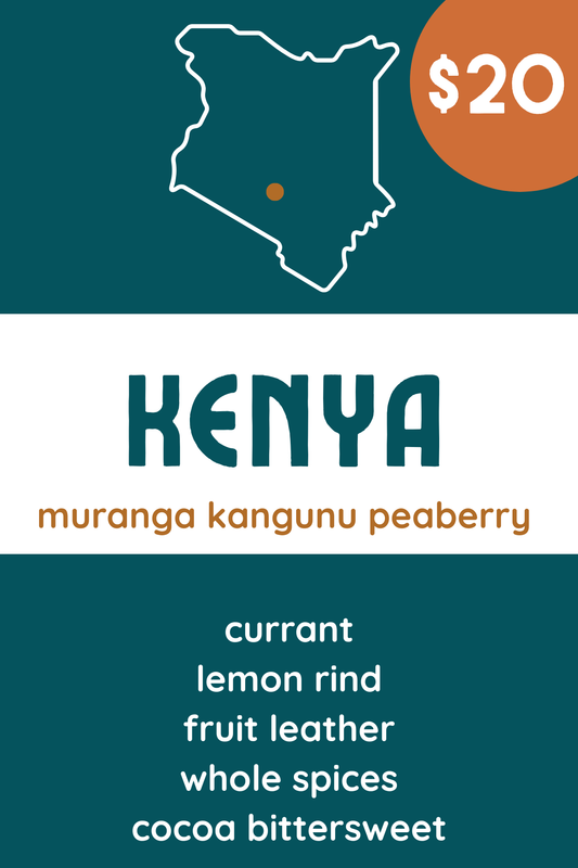 Kenya Muranga Kangunu Peaberry – Black Currant, Tamarind, Lemon Rind