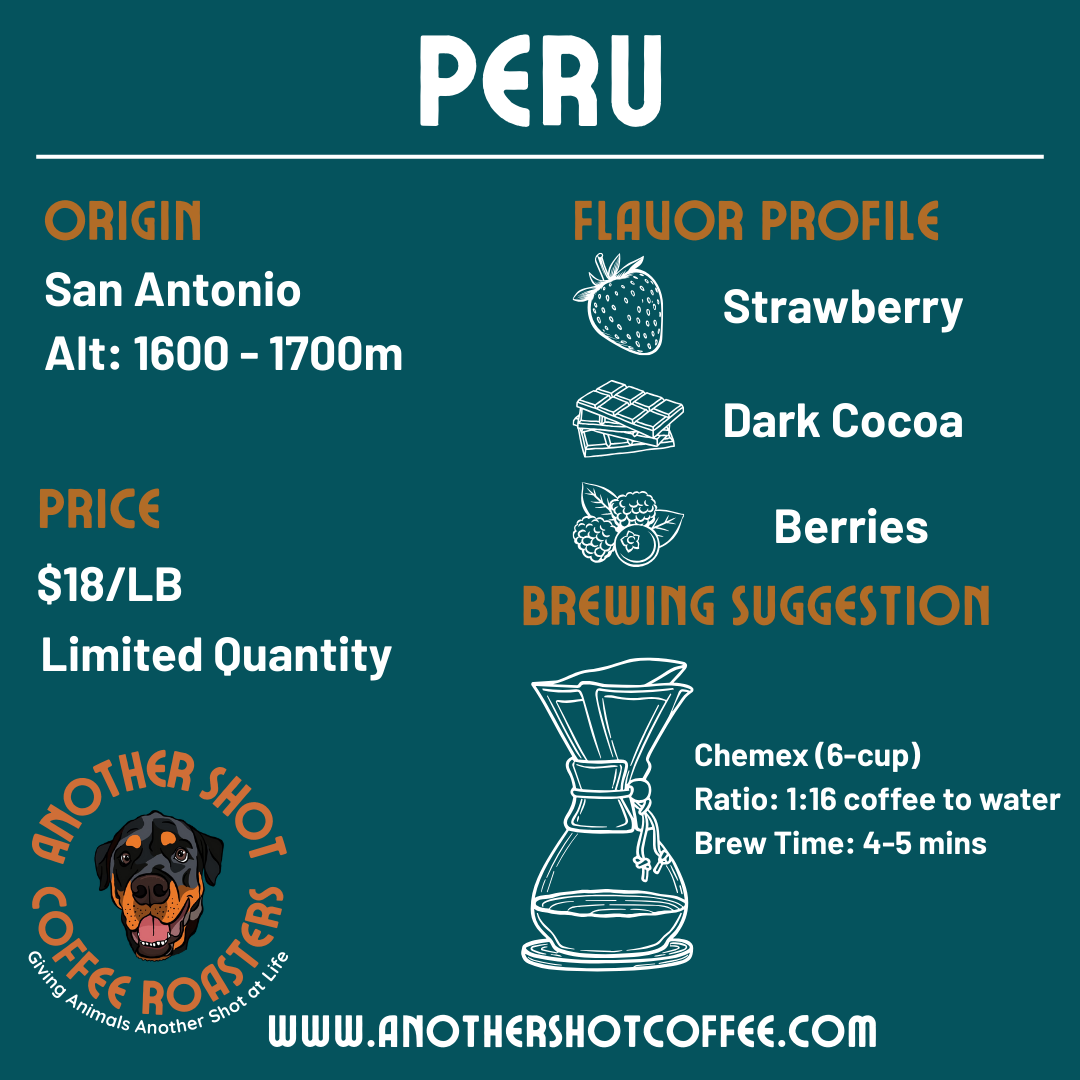 Peru Dry Process San Antonio - Strawberry, Dark Cocoa, Berries